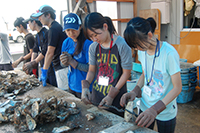 ボランティア活動